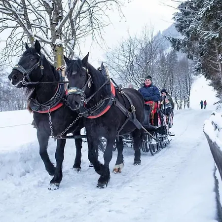 Lägenhet Isabella 2 Rauris