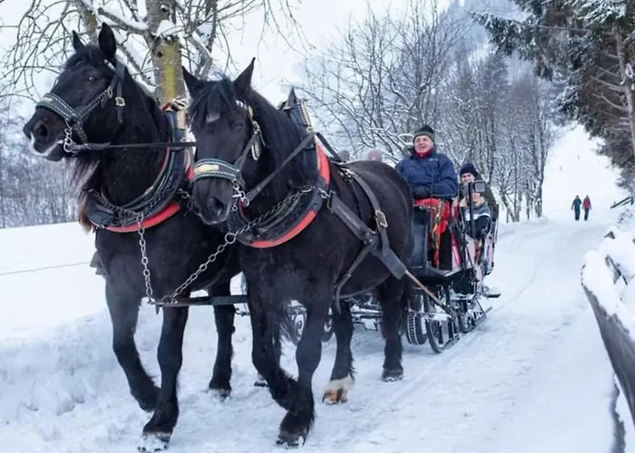 Apartment Isabella 2 Rauris